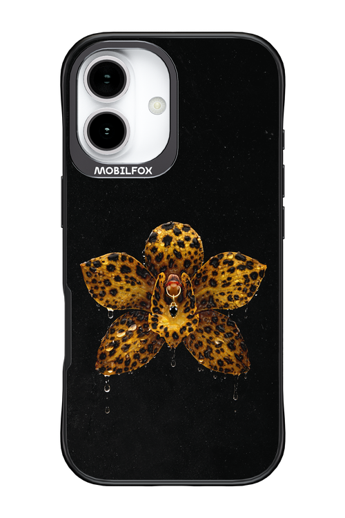 Wet & Wild 2.0 - Apple iPhone 17